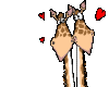 love giraf animation