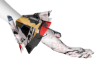 gloves