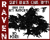 GIANT BLACK OAK TREE!