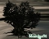 M - Dark Tree