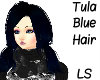 Tula Blue Hair