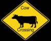 cow crossing sign