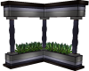 Wonder Corner Plant