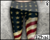 |Z| Faded U.S.A Pant