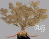 Gold Head Tree A.G.