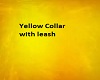 Yellow Collar