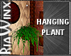 Wx:CFC Hanging Planter