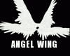 😻 Angel Wings