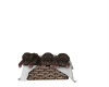 (SS)Choco Puppies-Pet