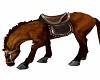 ANIMATED BROWN HORSE