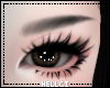 ✮ 1. Eyebrows - Black