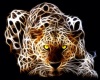 Neon Cheetah tranparent