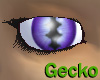 Purple Gecko eyes