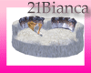 21b- wolv couch with 14p