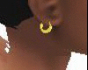 ear ring left side Jb