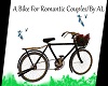 AL/Romantic Couple Bike