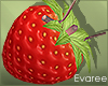 Spring Strawberry Purse