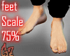 [G] feet Scale75%
