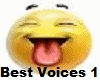 .D. Best Voices 1