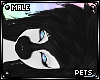 [Pets] Mumble | hair v1