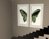 butterfly wall art