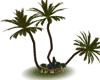 Palm Concept