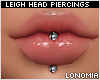 Leigh Steel Labret