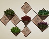 Country Wall Plants