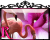 *R* Pink Flamingo ENH