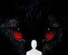 Red eye cat background