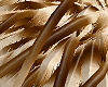 [AG] Porcupine Tail
