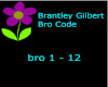 Bro Code