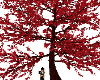 Red Animated Kiss Tree