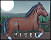 Y. Ranch Balloon REQ