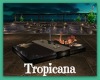 ~SB Tropicana Lounger