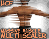 HCF All In One Scaler 20