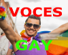 voces gay