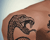 Cobra Body Tattoo