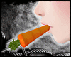[SS] Carrot Nibbler (F)