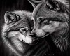 Wolf Love