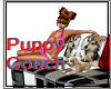 WinterWolf Puppy Couch