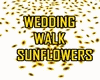 GM's Wedd Walk Sunflower