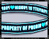 T|» Property of Puddin