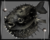 _UnProtected Pufferfish