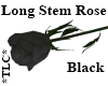 *TLC*LongStem Rose Black