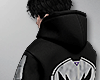 zt.  hoodie