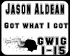Jason Aldean-gwig