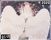 Angel Queen Wings