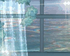 Window Animated