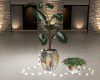 Home Planter Light  2